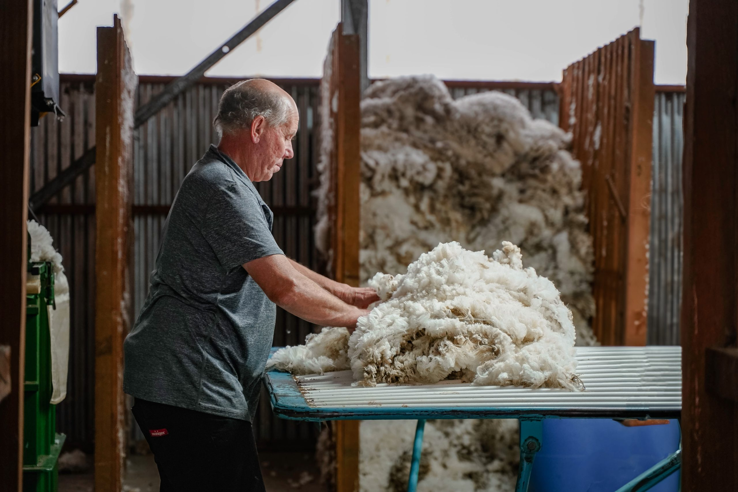 WoolClip for Wool Classers: Time-Saving, Flexible and Easy to Correct