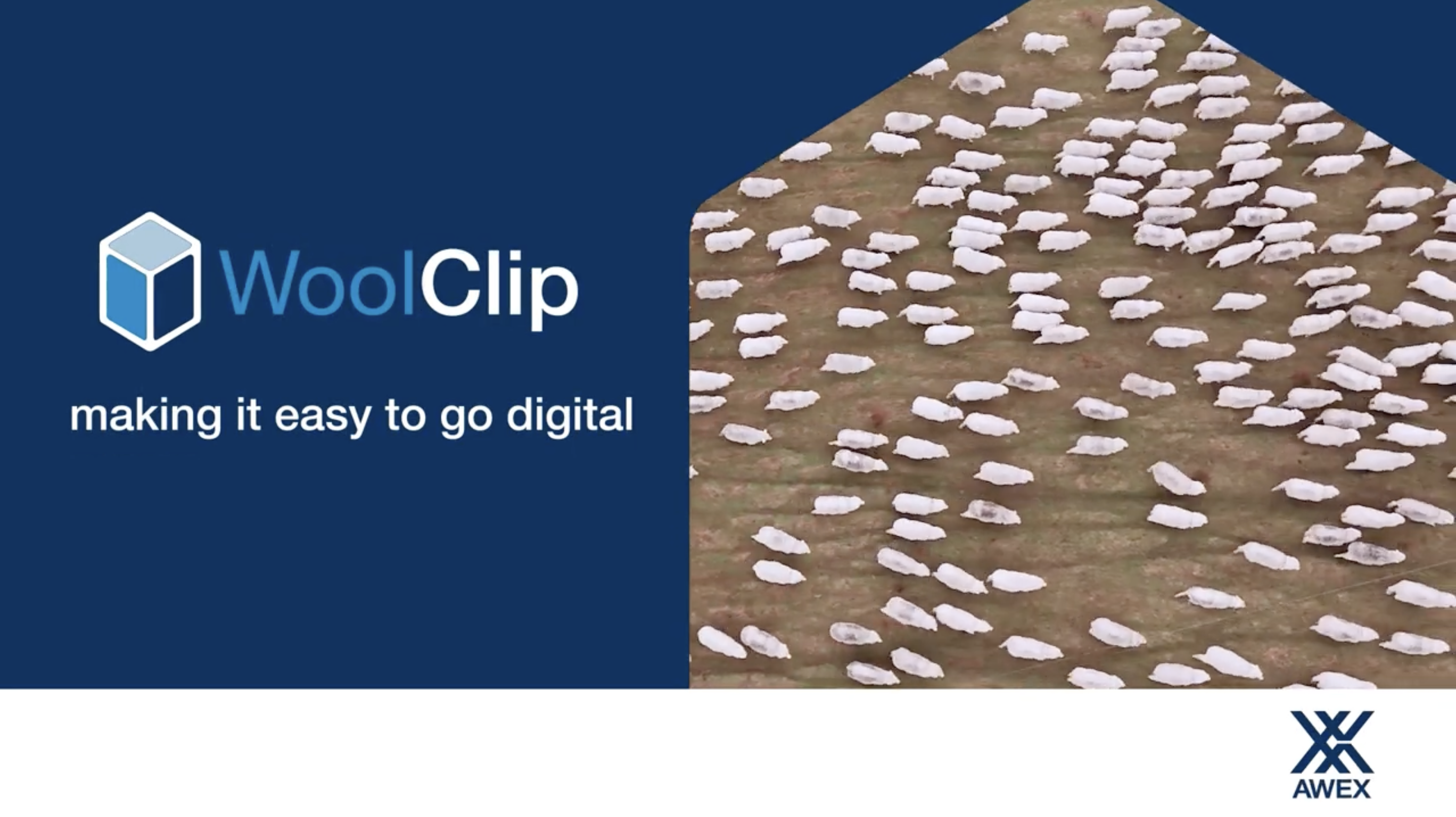 WoolClip: Create, Capture and Send Wool Documentation Digitally