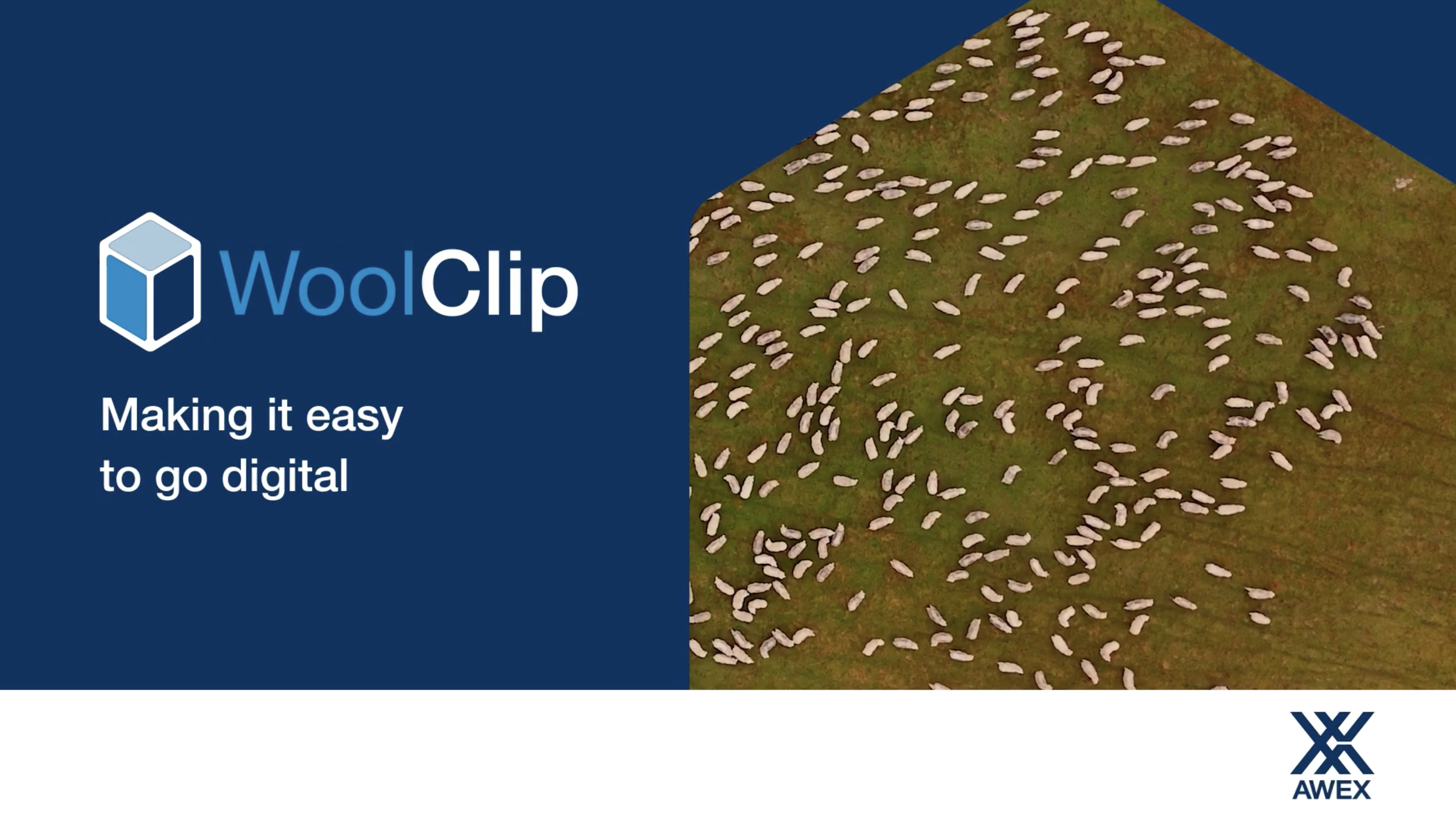 WoolClip: Making It Easy To Go Digital