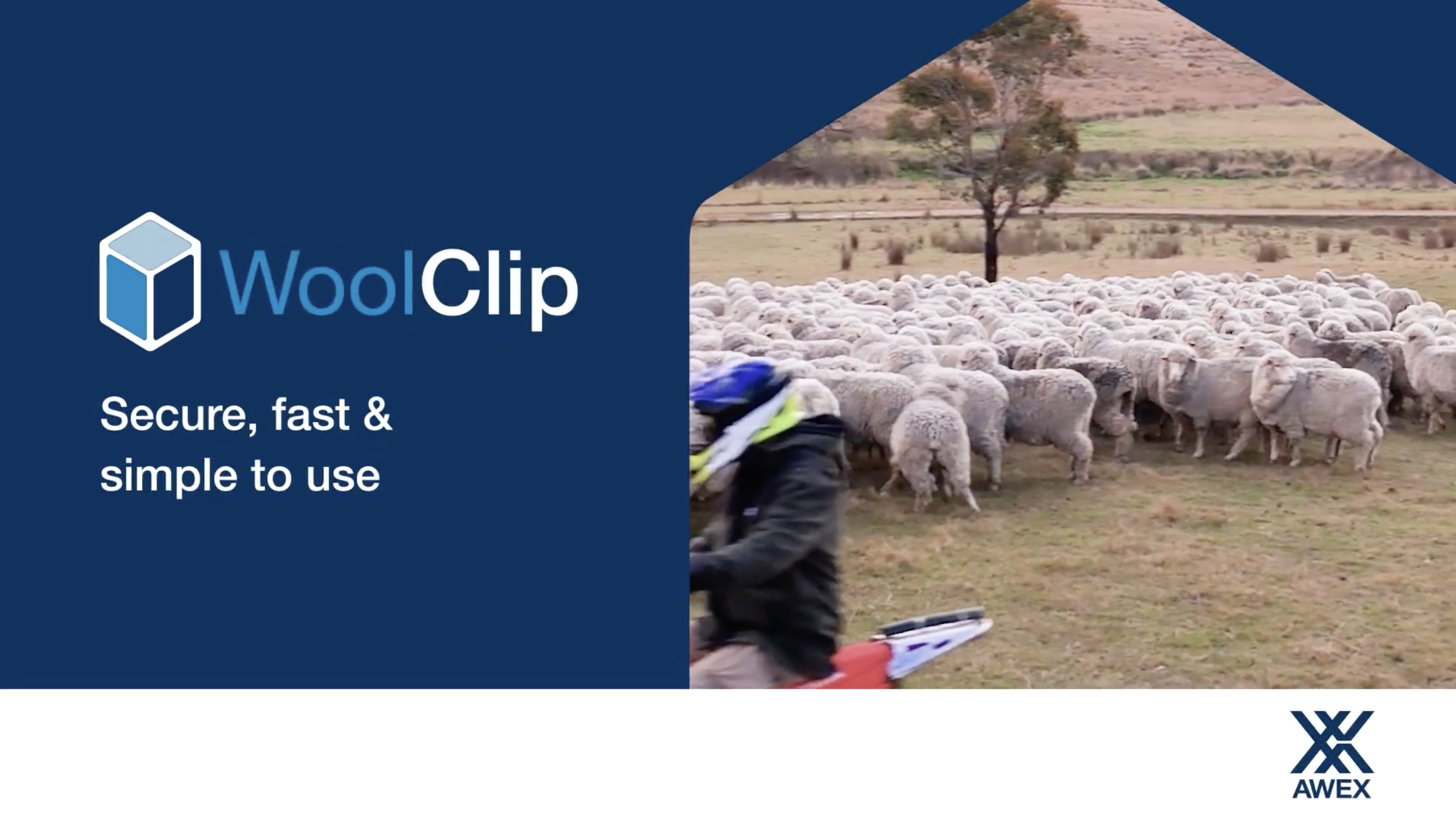 WoolClip for Wool Growers: It’s Easy to Join