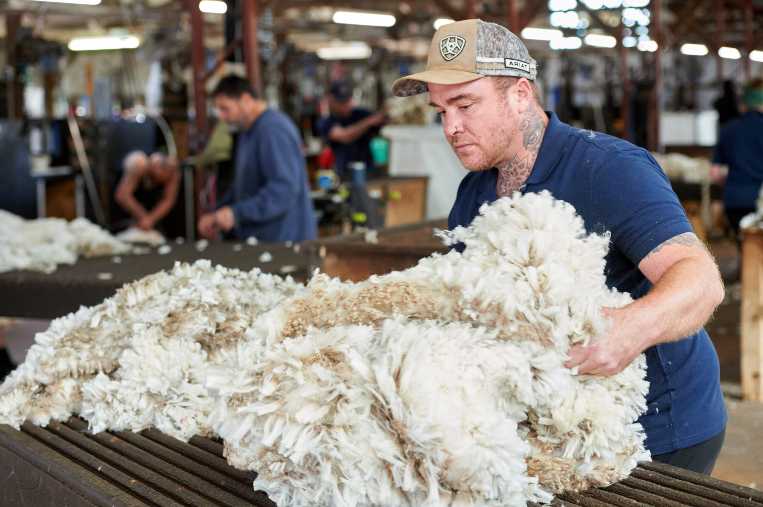 An Overview of WoolClip: A Guide for Wool Classers